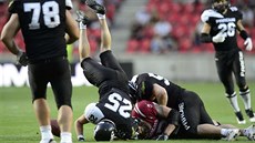 Finále české ligy amerického fotbalu Prague Black Panthers - Příbram Bobcats,... Finále české ligy amerického fotbalu Prague Black Panthers - Příbram Bobcats,...