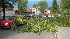 Hasiči museli zasahovat především u spadaných větví Hasiči museli zasahovat především u spadaných větví