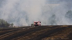 Hasii zasahují proti poáru pole u obce Beznice na Zlínsku (24. 7. 2015)