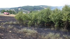 Hasii zasahují proti poáru pole u obce Beznice na Zlínsku (24. 7. 2015)