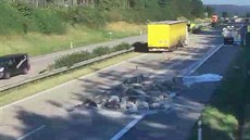 Nehoda zpsobila na dálnici D1 velké problémy.
