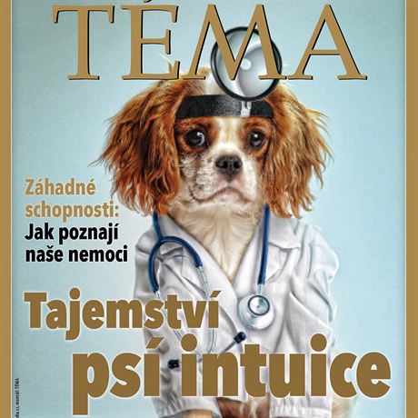 Titulka TMA, vydn 31