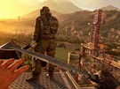 Dying Light: The Following