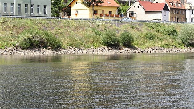 Hladov kmen u Tchlovic upomn na rekordn sucha. Posledn zznamy o nm byly z roku 1983, nyn se opt objevil. (31. 7. 2015)