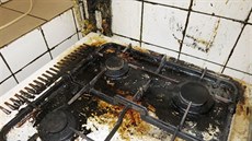 Rychlé občerstvení U Birhanzlů (Praha 5). Inspektoři našli myší trus, chyběl... Rychlé občerstvení U Birhanzlů (Praha 5). Inspektoři našli myší trus, chyběl...