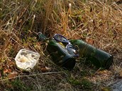 Dva opilí mladíci pořvávali na záchranáře, kteří jeli pro pacienta s alergickou... Dva opilí mladíci pořvávali na záchranáře, kteří jeli pro pacienta s alergickou...