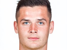 Roman Potočný