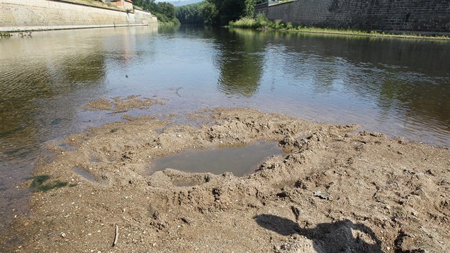 Vyschlé koryto eky Ohe v Terezín (7. srpna 2015).