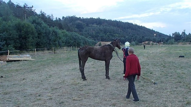 K i s jezdkyn spadli do hlubok jmy a zve se z n samo nedokzalo dostat. Hasim nakonec trvala zchrann akce tyi hodiny.