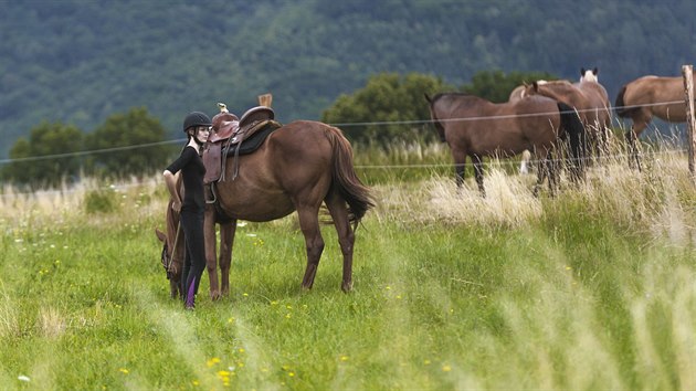 LETN JZDA: Ran Posluchov, chov kon, bosonoz, farma, Libav, Hluboky, vyjka