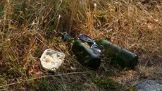 Dva opilí mladíci pořvávali na záchranáře, kteří jeli pro pacienta s alergickou... Dva opilí mladíci pořvávali na záchranáře, kteří jeli pro pacienta s alergickou...