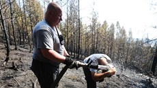 Lesní poár v Dobívi - i hasii potebovali zchladit hlavu (8. srpna 2015)