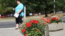 Lázn Klimkovice Hýlov, které mají jednu z nejvtích botanických výzdob.