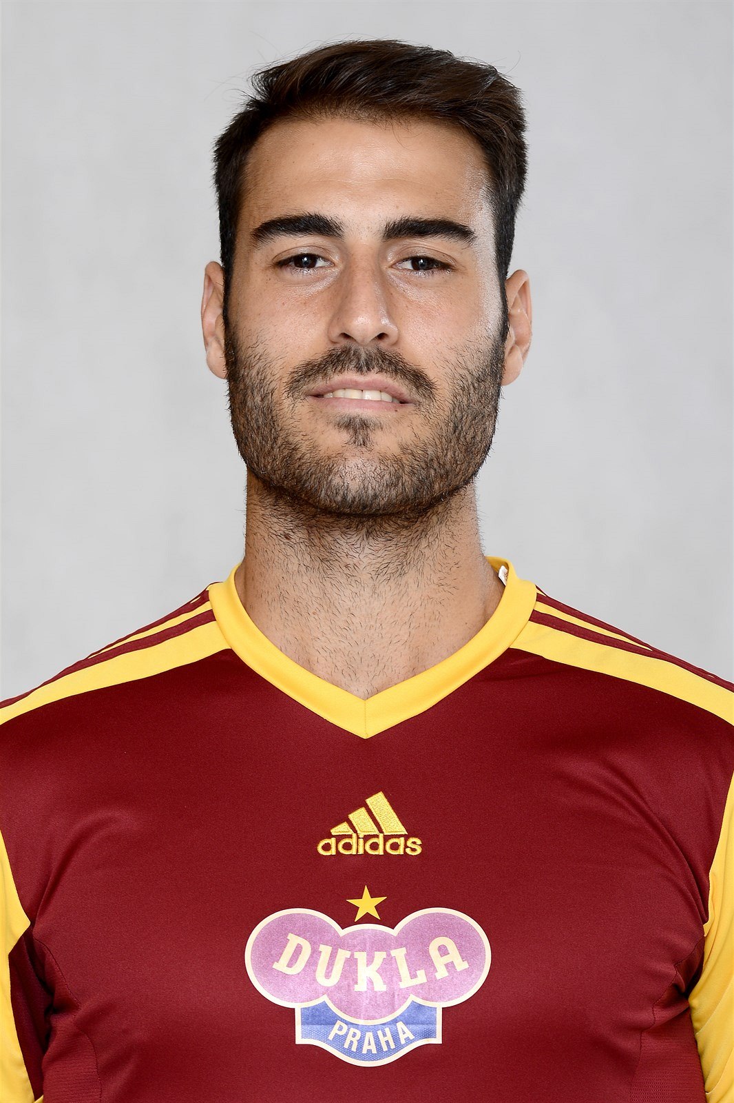 1gr.cz/fotky/idnes/15/082/org/PES5d393b_albiach_nestor.JPG