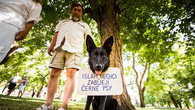 Extremistick Nrodn demokracie uspodala na Vyehrad protestn akci 3. tbor lidu. (15. 8. 2015)