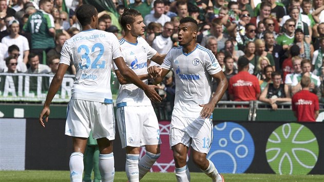 Hri Schalke se raduj z glu do st Brm.