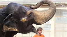 Indičtí sloni patří v liberecké zoo ke zvířatům z teplých oblastí. Indičtí sloni patří v liberecké zoo ke zvířatům z teplých oblastí.