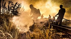 Kvůli suchu začali dobrovolní hasiči v Chrudimi dohlížet na práci dělníků během... Kvůli suchu začali dobrovolní hasiči v Chrudimi dohlížet na práci dělníků během...