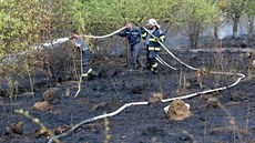 V Plzni na Karlově hořela louka a náletové dřeviny. (11. srpna 2015) V Plzni na Karlově hořela louka a náletové dřeviny. (11. srpna 2015)