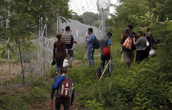 Uprchlíci obhlíí plot na hranicích Maarska a Srbska (25. srpna 2015)