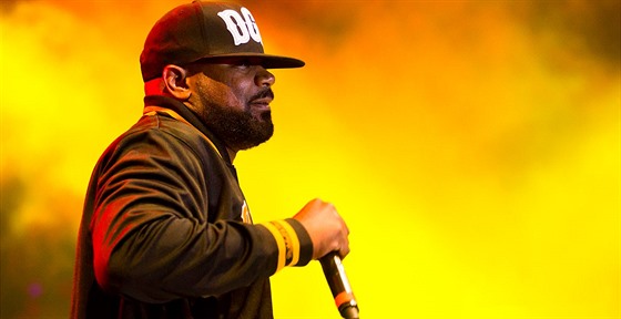 Mezi hlavní hvzdy 14. roníku festivalu patili amerití Ghostface Killah.