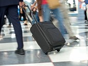 Leteck pepravce je odpovdn za zavazadla od jejich pevzet po odevzdn....