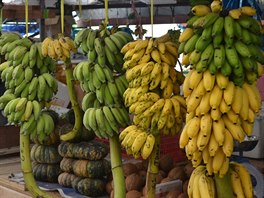 Malé banánky jsou jedno z mála ovoce, které koupíte na vtin ostrov.