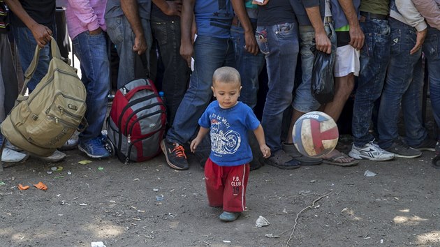 Uprchlci nedaleko srbskho msra Preevo (25. srpna 2015)