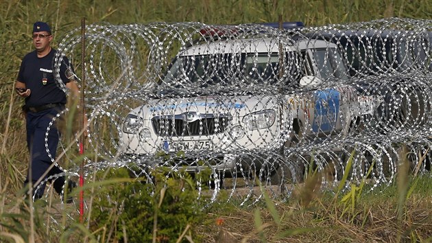 Maarsk pohranink ste plot na hranicch Maarska a Srbska (25. srpna 2015)