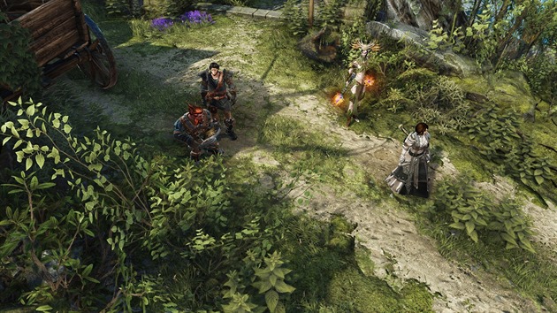 Divinity: Original Sin 2