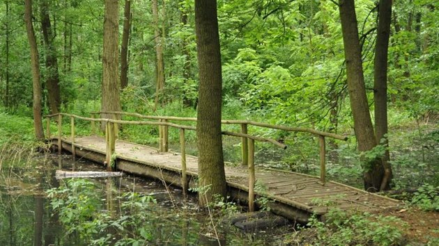Kunovsk les je vstupem do prody jen kousek od jednoho z uherskohradiskch sdli.