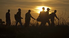 Hranice před migranty neuzavřeme, zní ze Srbska. Hranice před migranty neuzavřeme, zní ze Srbska.