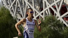 Slovenský chodec Matej Tóth se v Pekingu stal mistrem světa v závodě na 50... Slovenský chodec Matej Tóth se v Pekingu stal mistrem světa v závodě na 50...