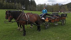 Chovatel Radek Ipser nabízí turistům projížďky po šumavském národním parku. Chovatel Radek Ipser nabízí turistům projížďky po šumavském národním parku.