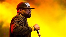 Mezi hlavní hvzdy 14. roníku festivalu patili amerití Ghostface Killah.