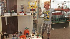 Výstava modelů z lega potrvá až do 25. září. Výstava modelů z lega potrvá až do 25. září.