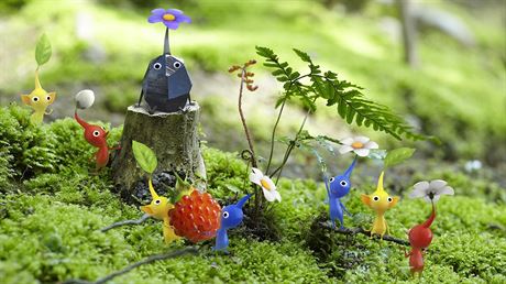 Ilustraní obrázek ke he Pikmin