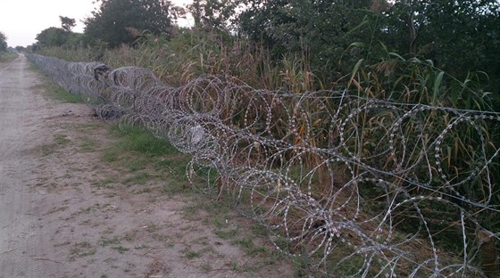 Plot na maarsko-srbské hranici