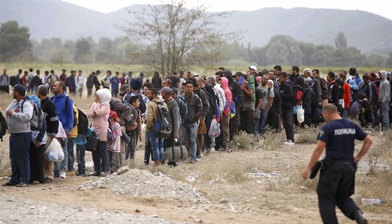 Skupina benc na makedonsko-ecké hranici u msta Gevgelija (7. záí 2015)