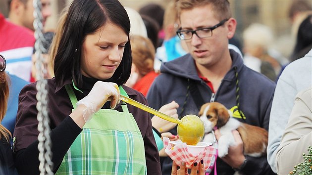 Festival polvek na nmst Republiky v Plzni. (6. srpna 2015)