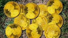 Sedmnáct zlatých investiních mincí s vyobrazením rakousko-uherského císae...