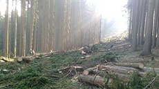 Fotografie pořízené inspektory životního prostřední bezprostředně po nelegální... Fotografie pořízené inspektory životního prostřední bezprostředně po nelegální...