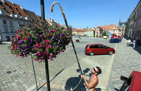 Takto v srpnu zaléval zahradník kvtiny umístné na lampách na chebském...