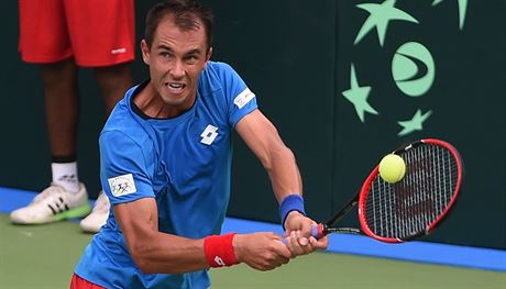 ZARPUTILOST. Luk Rosol v utkn Davis Cupu proti Indii.