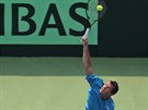 SERVIS. Adam Pavlsek v bari Davis Cupu v Indii.