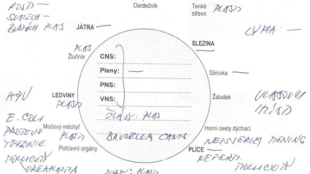 Takto vypadá dokument, do kterého Hana Bláhová zaznamenává v těle diagnostikované parazity.
