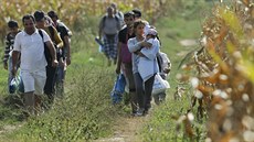 Uprchlíci na srbsko-chorvatské hranici (16. záí 2015)