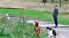 O část Limnického údolí v Nejdku se s restitučním nárokem jako o svůj... O část Limnického údolí v Nejdku se s restitučním nárokem jako o svůj...
