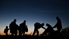Migranti Migranti