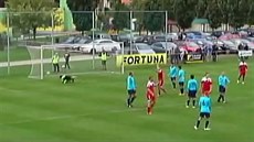 Česká fotbalová liga Česká fotbalová liga